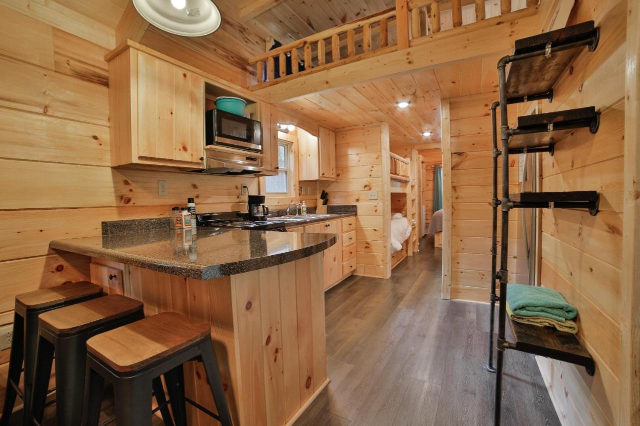 Elise Cabin Forest Retreat 5 Mins To Downtown Τσαττανούγκα Εξωτερικό φωτογραφία